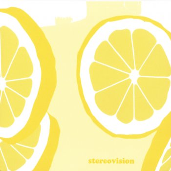 Stereovision Vehicle