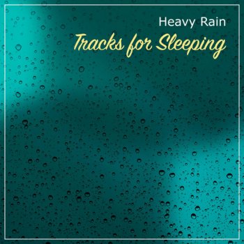 The Sound Reserve Gentle Rain on Pavement