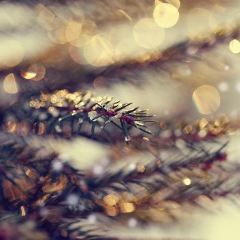 K-391 Jingle Bells (K-391 Remix)