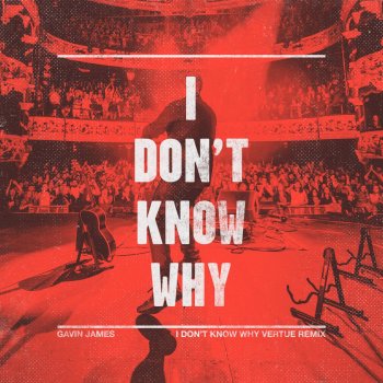 Gavin James I Don't Know Why (Vertue Remix) [Radio Edit]