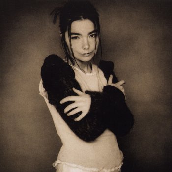 Björk Human Behaviour