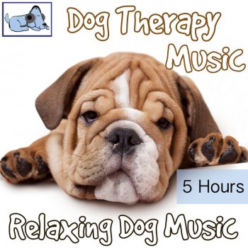 Relaxmydog Dog Therapy