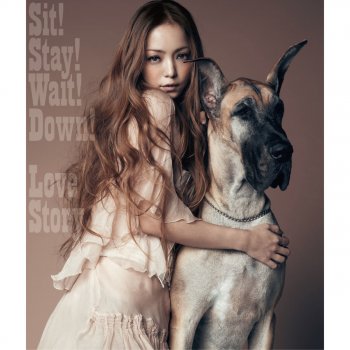 Namie Amuro Sit! Stay! Wait! Down!