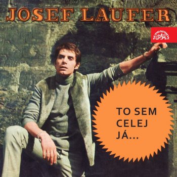 Josef Laufer Rub a líc - polní tráva