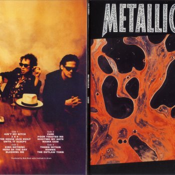 Metallica Ronnie