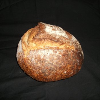 Pain Brot