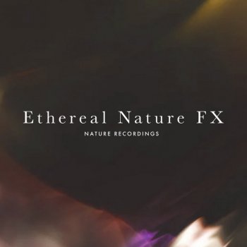 Nature Recordings Whale Oasis