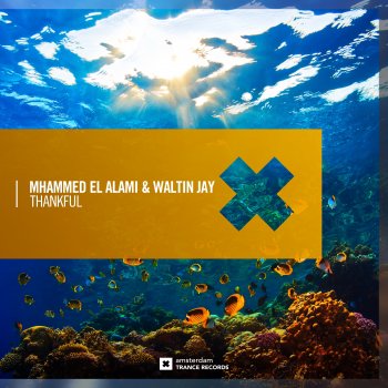 Mhammed El Alami feat. Waltin Jay Thankful - Extended Mix