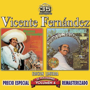 Vicente Fernández Cuando Un Amor Termina