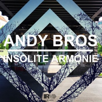 Andy Bros Insolite Armonie 3