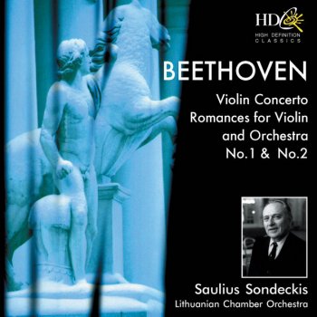 Ludwig van Beethoven feat. Lithuanian Chamber Orchestra Violin Concerto in D Major, Op. 61 : I. Allegro ma non troppo