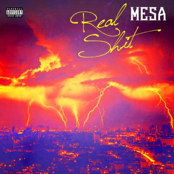 Mesa Real Shit