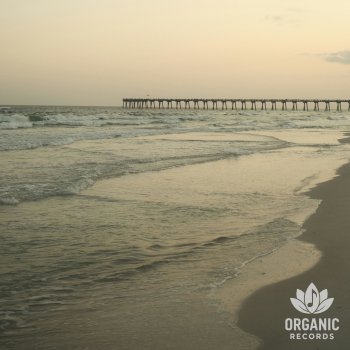 Seaside Sounds Coastal Wind