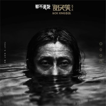 謝天笑 烏雲的心意