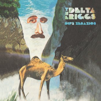 The Delta Riggs The Record's Flawed