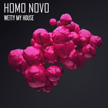 Homo Novo Wetty My House