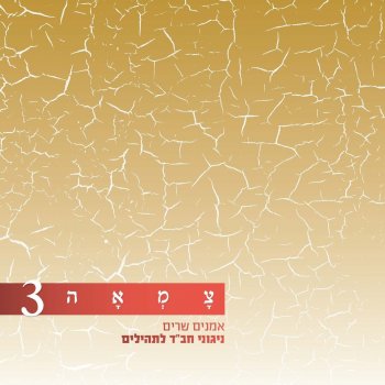 אברהם פריד שובה ה'