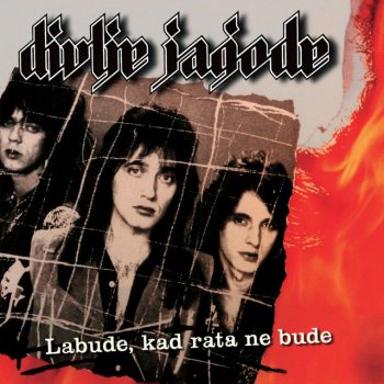 Divlje Jagode Zvijezda Sjevera