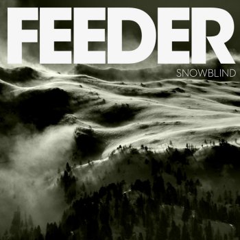 Feeder Snowblind