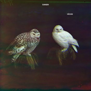 Dungen Wak-Wak's portar