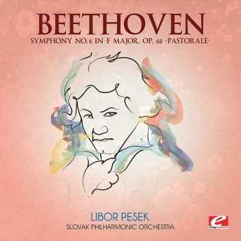 Slovak Philharmonic Orchestra feat. Libor Pesek Symphony No. 6 in F Major, Op. 68 - "Pastorale": V. Allegretto