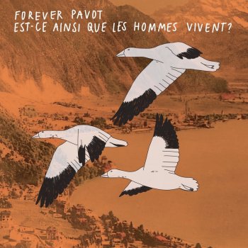 Forever Pavot Est-ce ainsi que les hommes vivent ?