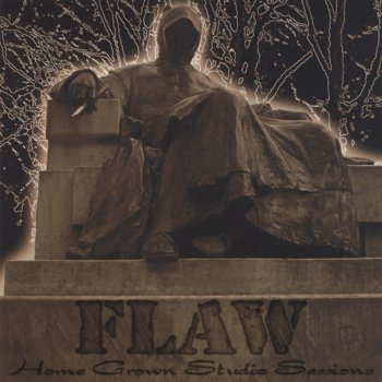 Flaw Somebody's Victim