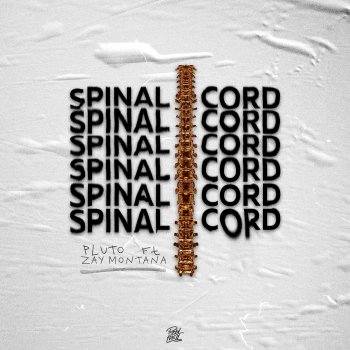 Pluto Spinal Cord (feat. Zay Montana)
