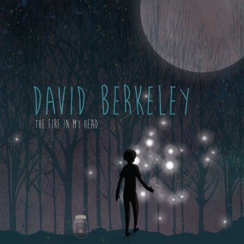 David Berkeley I'm Coming Home