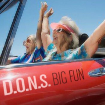 D.O.N.S. Big Fun - Michi Lange Remix
