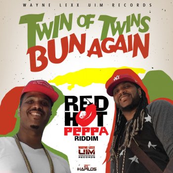 Twin of Twins Bun Again