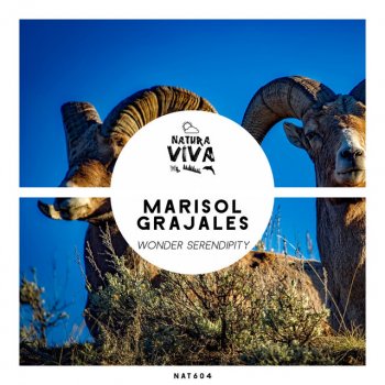 Marisol Grajales Wonder