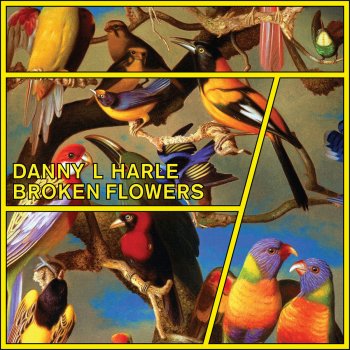 Danny L Harle Without You