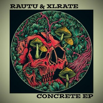 Исполнитель Rautu feat. Xlrate, альбом Concrete