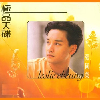 張國榮 雪中情'89