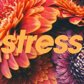 Tycho No Stress - Instrumental