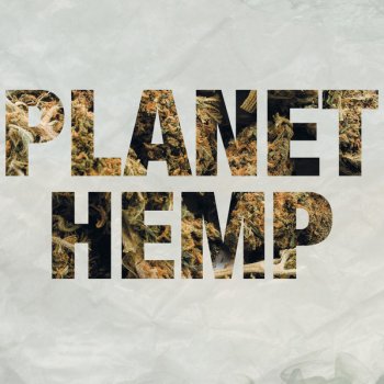 Planet Hemp Procedência C.D.