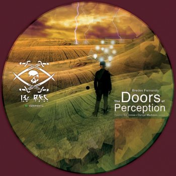 Bredes Fernando The Doors of Perception (Danijel Markovic Remix)