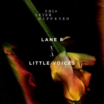 Lane 8 Little Voices