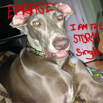 Enrage I Am the Storm