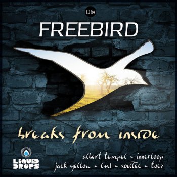 Freebird Hmm (Dan's Groove) - Original Mix