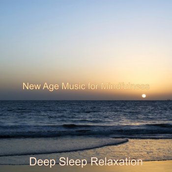 Deep Sleep Relaxation Moods for Mindfulness - Chill Out Music