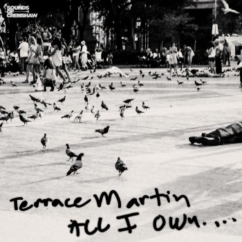 Terrace Martin All I Own