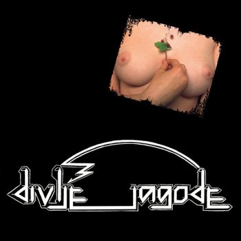 Divlje Jagode Divlje Jagode