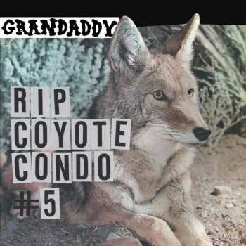 Grandaddy RIP Coyote Condo #5