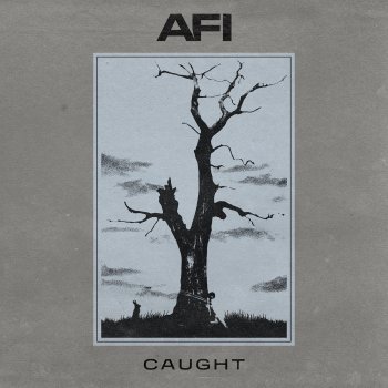 AFI Caught