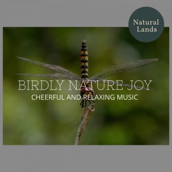 Desire for Green Nature Sounds Lizard with Green Eye