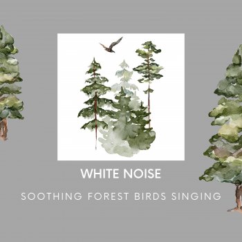 Peaceful Nature Music, Relaxing Muzic & Nature Lab (White Noise) Trees in Nature - Loopable