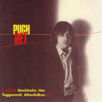 Pugh Rogefeldt Aftonfalken