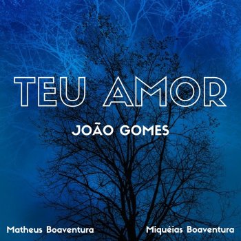 Joao Gomes Teu Amor